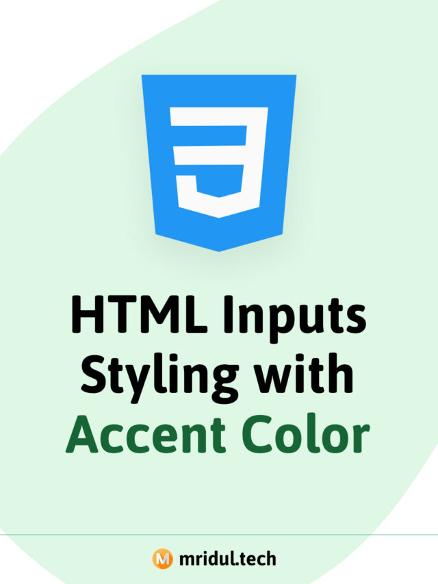 HTML Inputs Styling with Accent Color