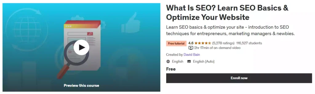 11. What Is SEO. Learn SEO Basics & Optimize Your Website